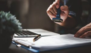 المالية العامة والتوقعات ودورها